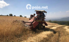 Filloi korrjeshirja në fshatin Pllajnik të Dragashit