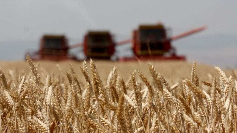 Të konsumohet buka e Kosovës, të ndalet importi i grurit