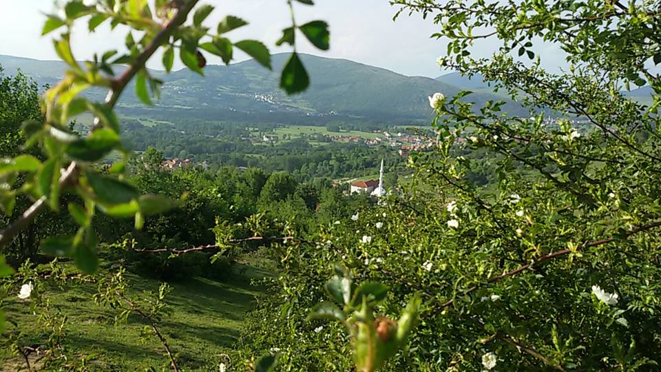 Kosovarët i kthehen bujqësisë