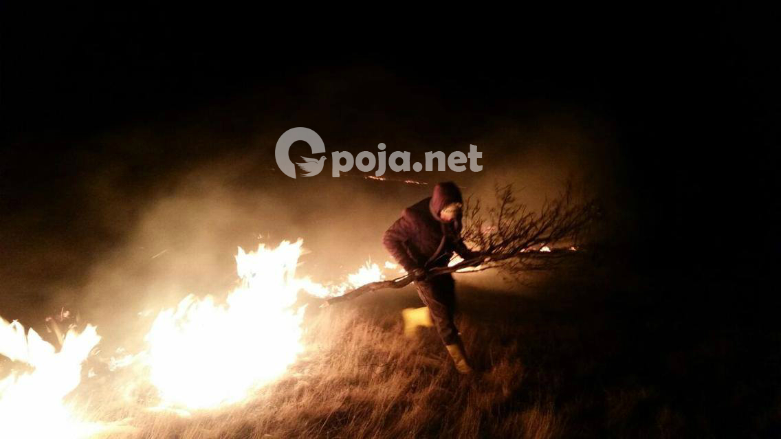 I vihet zjarri bjeshkës së Pllajnikut (Foto)