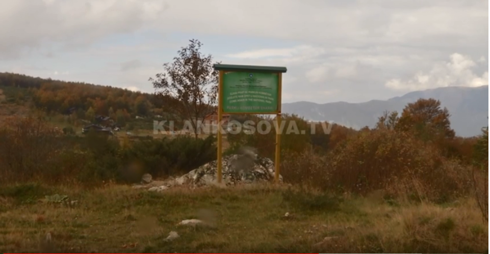 Gjuetarët ilegalë po zhdukin kafshët e egra në Dragash (Video)