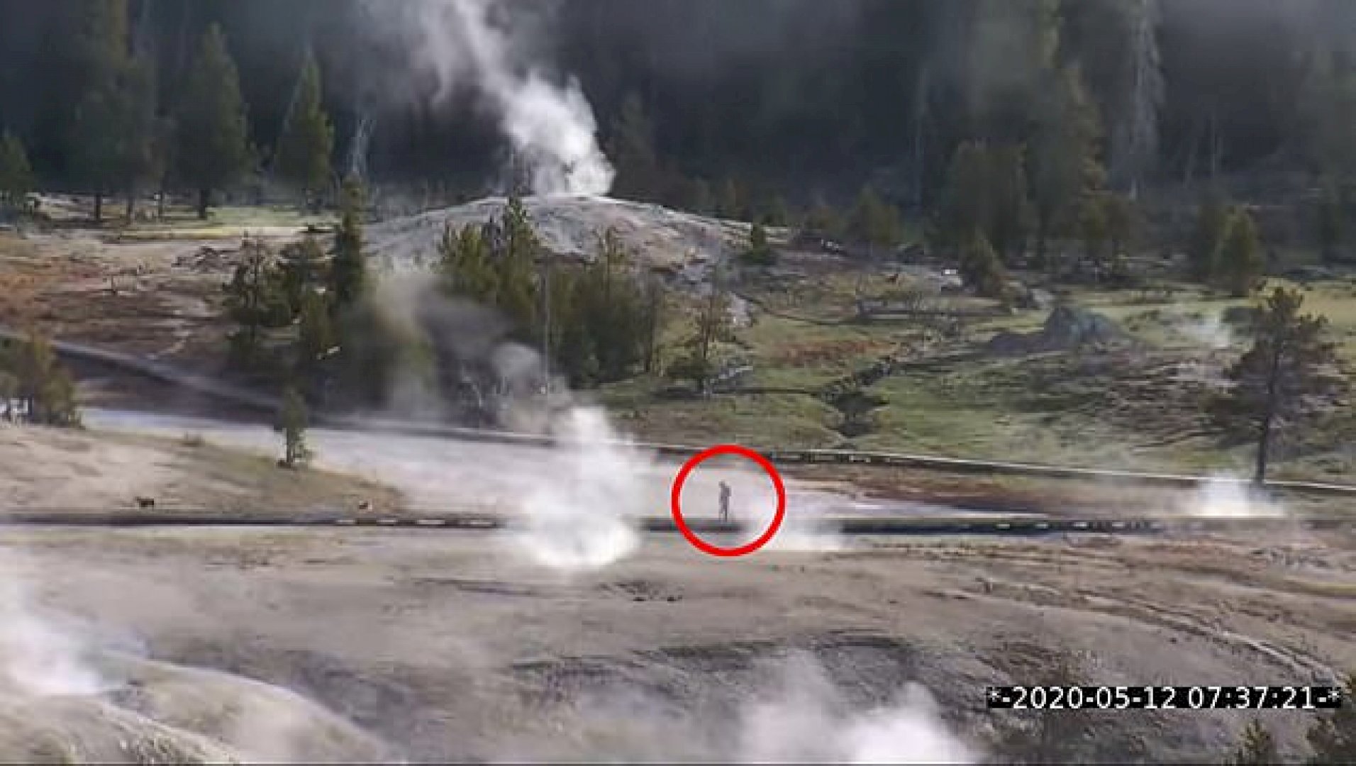 bie-ne-gejzer-pasi-futet-ilegalisht-ne-parkun-yellowstone