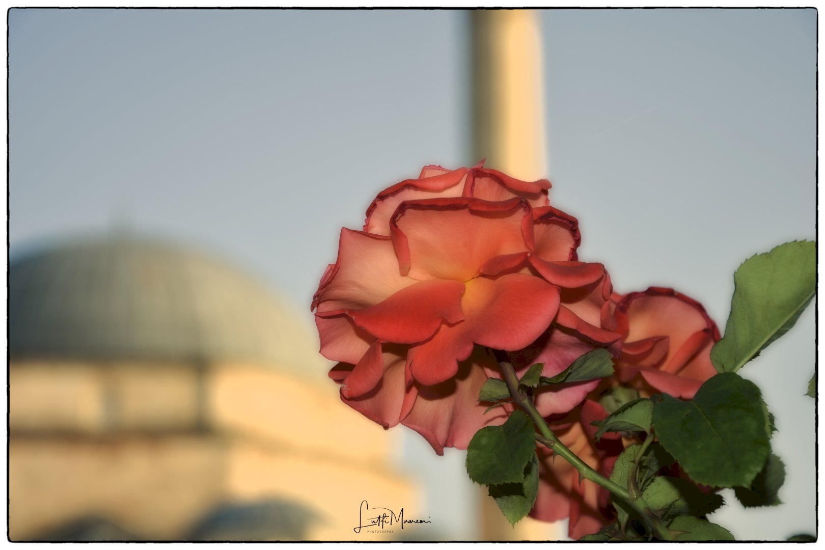 jeta-eshte-shume-e-shkurter-dhe-nuk-meriton-urrejtje…
