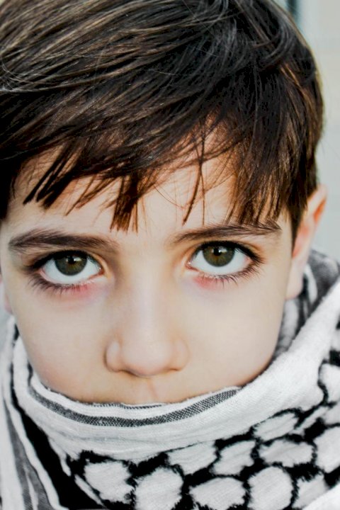 a-ekziston-ne-te-vertete-palestina?!