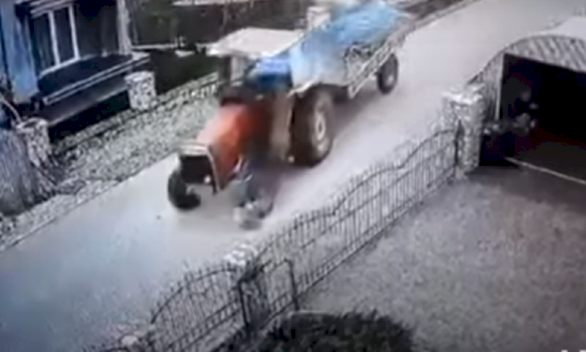 pamje-te-renda:-shkel-qellimisht-qenin-me-traktor