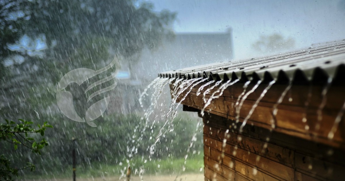 Ndryshim i motit në Kosovë/ Rënie e temperaturave e reshje shiu