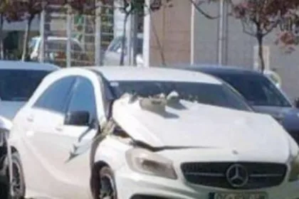 demtohet-vetura-e-ud.-te-drejtorit-te-qkuk-se