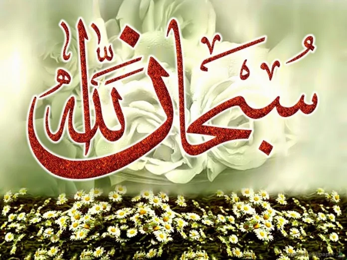 nese-deshiron-qe-dita-jote-te-jete-e-lumtur,-fut-gezim-ne-zemrat-e-njerezve-te-tjere